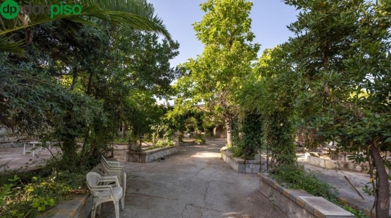 Granada - Güevéjar - 5000m2
