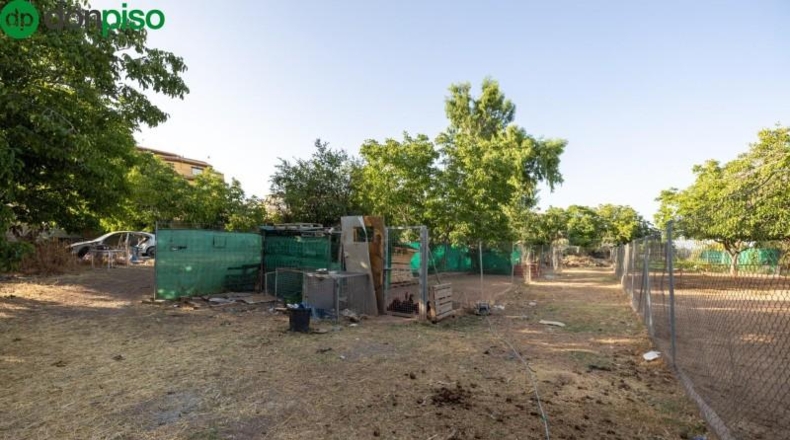 Granada - Güevéjar - 5000m2
