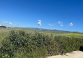 Xalet independent amb terreny en venda a la España, Tarifa, ref.: TR158081 foto