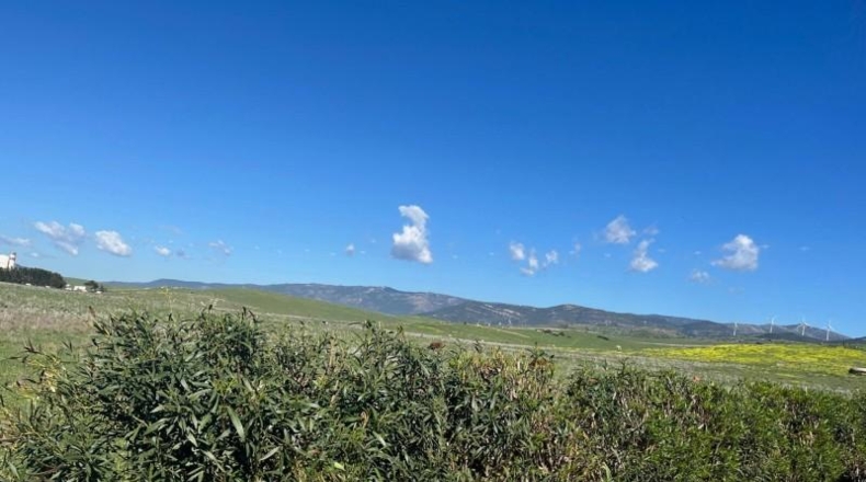 Cádiz - Tarifa - 468m2