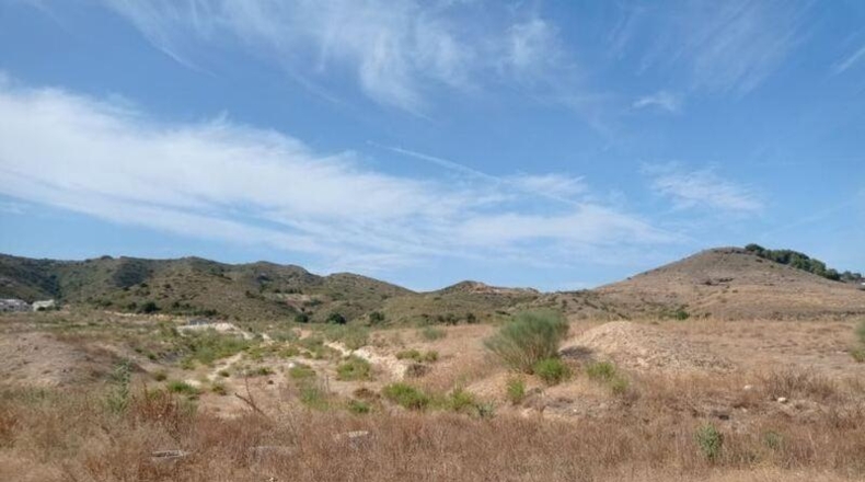 Malaga - Alhaurín de la Torre - 9064m2