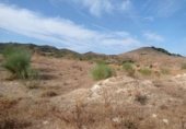 Sòl urbà en venda a la España, Alhaurín de la Torre, ref.: TR370067 foto