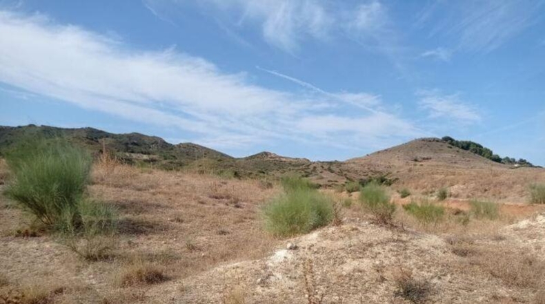 Malaga - Alhaurín de la Torre - 9064m2