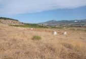 Sòl urbà en venda a la España, Alhaurín de la Torre, ref.: TR370067 foto