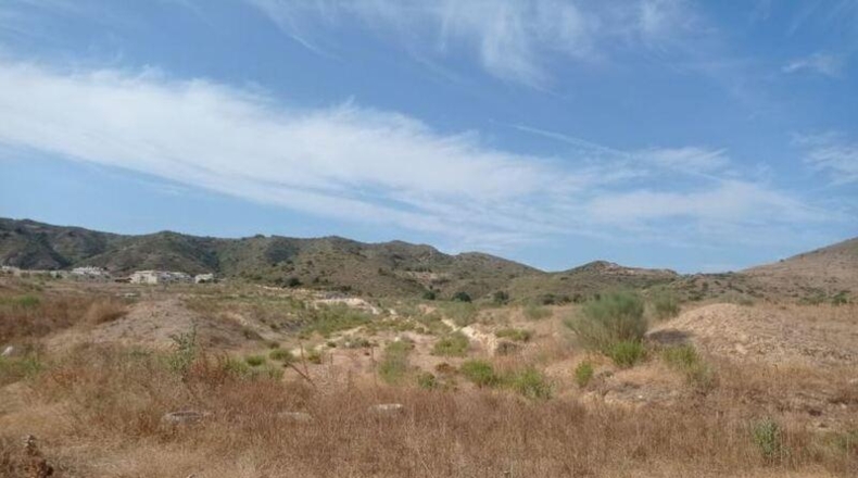Malaga - Alhaurín de la Torre - 9064m2
