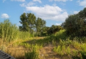 Sòl urbà en venda a la España, Dénia, ref.: TR342709 foto