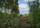 Sòl urbà en venda a la España, Dénia, ref.: TR342709 foto