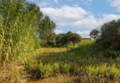 Sòl urbà en venda a la España, Dénia, ref.: TR342709 foto