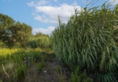 Sòl urbà en venda a la España, Dénia, ref.: TR342709 foto