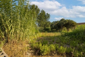 Dénia 2971&nbsp;m² 