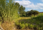 Urban land for sale on España, Dénia, ref: TR345922 photo
