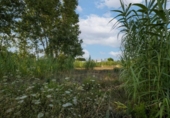 Urban land for sale on España, Dénia, ref: TR345922 photo