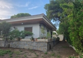 Xalet independent amb terreny en venda a la España, Oriola, ref.: TR333499 foto