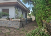 Xalet independent amb terreny en venda a la España, Oriola, ref.: TR333499 foto