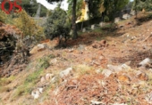 Urban land for sale on España, Blanes, ref: TR127875 photo