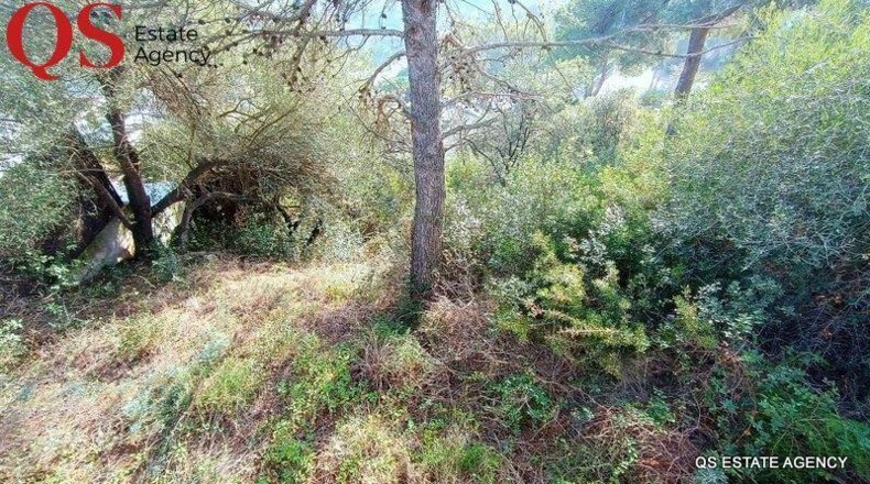 Gerona - Blanes - 813m2