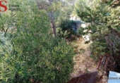 Urban land for sale on España, Blanes, ref: TR127875 photo