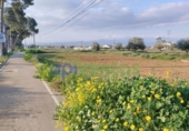 Загородный дом с участком на продажу в городе Lorca Фото