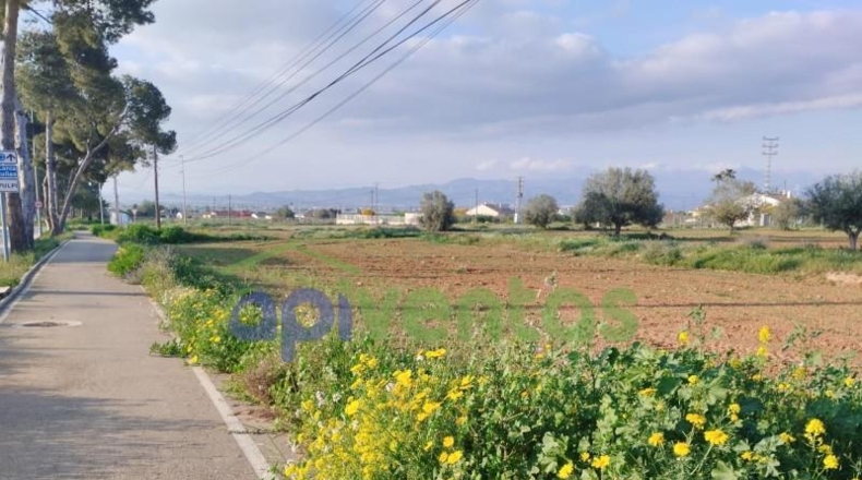 Murcia - Lorca - 23000m2