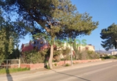 Загородный дом с участком на продажу в городе Lorca Фото