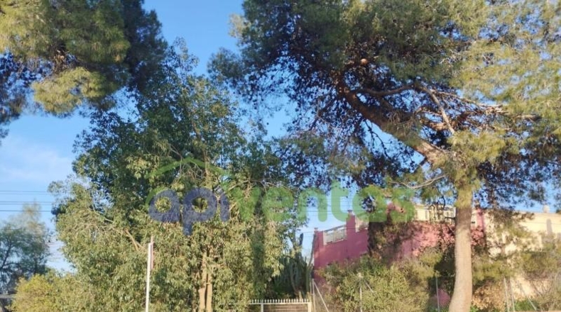 Murcia - Lorca - 23000m2