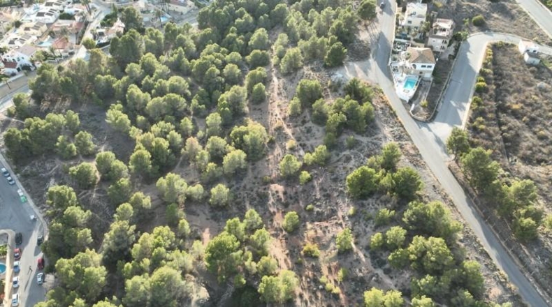 Alicante - Alfaz del Pi - 393m2