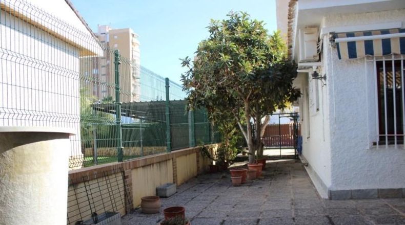 Alicante - Orihuela - 705m2