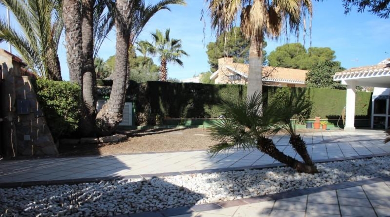 Alicante - Orihuela - 705m2