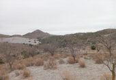 Terreno no urbanizable en venta en la España, Vélez-Rubio, ref: TR127457 foto