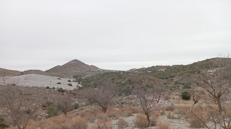 Almería - Vélez-Rubio - 397792m2