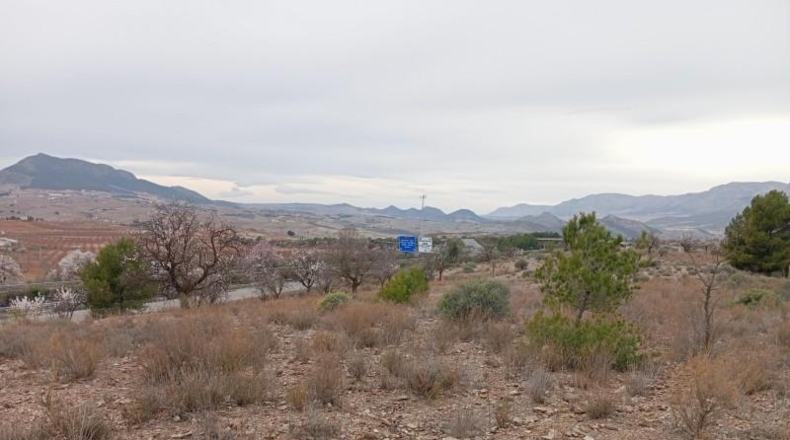 Almería - Vélez-Rubio - 397792m2