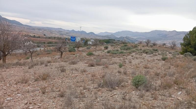 Almería - Vélez-Rubio - 397792m2