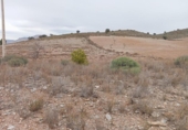 Terreno no urbanizable en venta en la España, Vélez-Rubio, ref: TR127457 foto