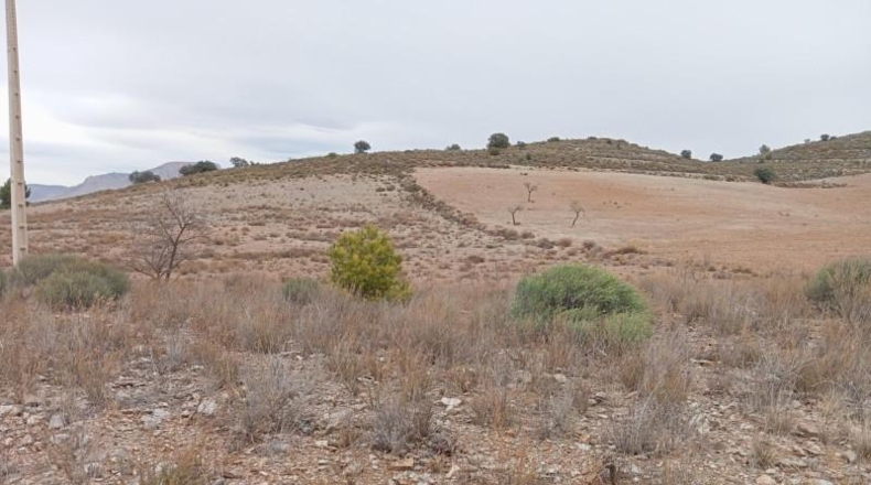 Almería - Vélez-Rubio - 397792m2