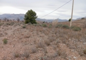 Terreno no urbanizable en venta en la España, Vélez-Rubio, ref: TR127457 foto