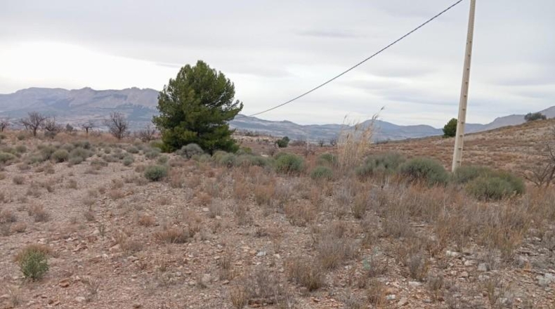 Almería - Vélez-Rubio - 397792m2
