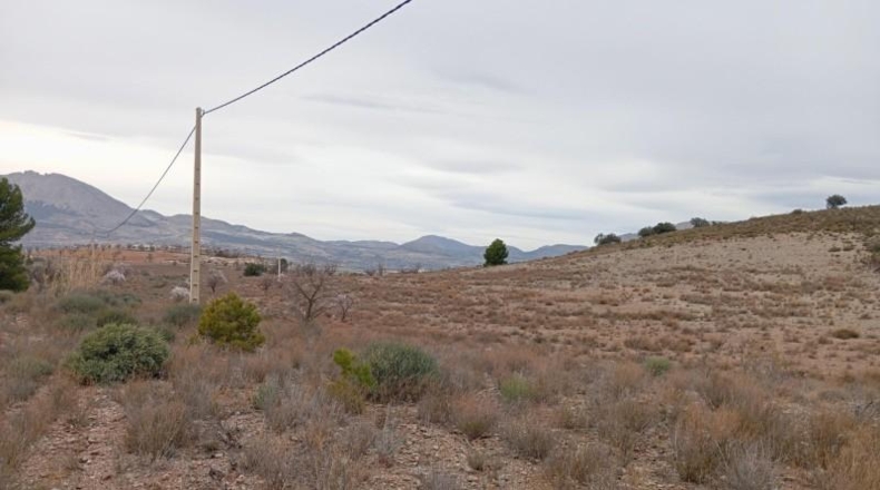 Almería - Vélez-Rubio - 397792m2