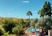 Rural estate for sale on España, Algaida, ref: TR296214 photo