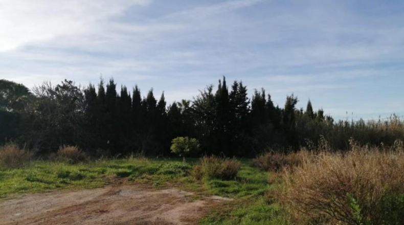 Málaga - Alhaurín de la Torre - 6494m2