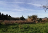 Casa de camp amb terreny en venda a la España, Alhaurín de la Torre, ref.: TR136280 foto