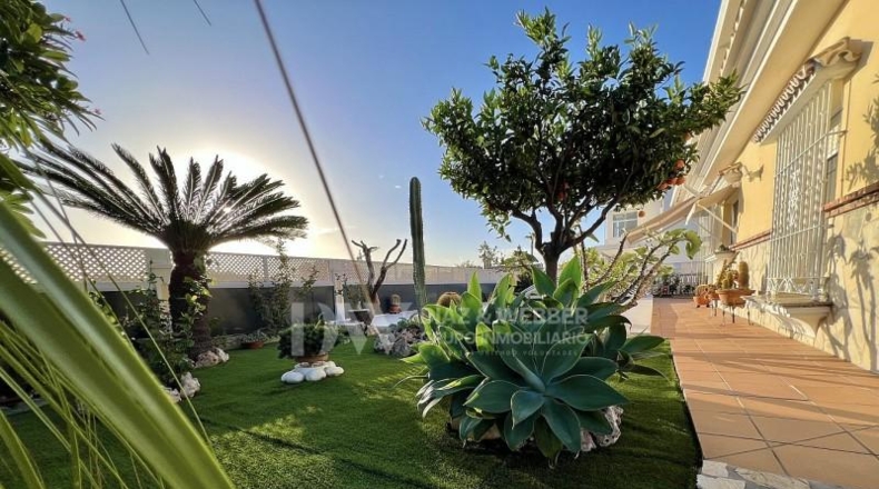 Málaga - Torre del Mar - 560m2