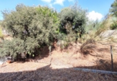 Detached villa with land for sale on España, Málaga, ref: TR289987 photo