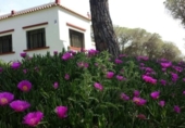 Land suitable for development for sale on España, La Puebla del Río, ref: TR289452 photo