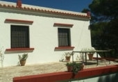 Land suitable for development for sale on España, La Puebla del Río, ref: TR289452 photo