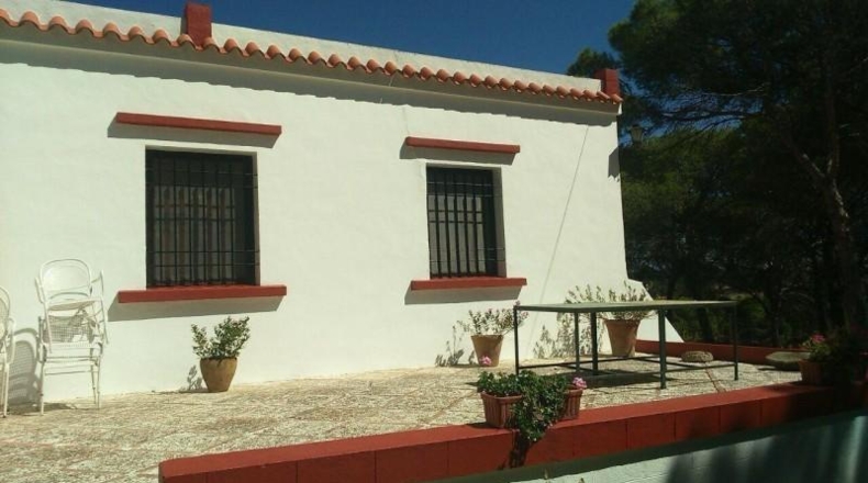 Sevilla - Ла-Пуэбла-дель-Рио - 141473m2