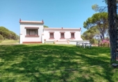 Land suitable for development for sale on España, La Puebla del Río, ref: TR289452 photo