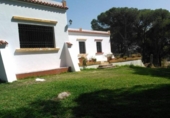 Land suitable for development for sale on España, La Puebla del Río, ref: TR289452 photo