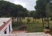 Land suitable for development for sale on España, La Puebla del Río, ref: TR289452 photo