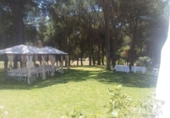 Land suitable for development for sale on España, La Puebla del Río, ref: TR289452 photo