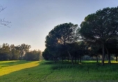 Land suitable for development for sale on España, La Puebla del Río, ref: TR289452 photo